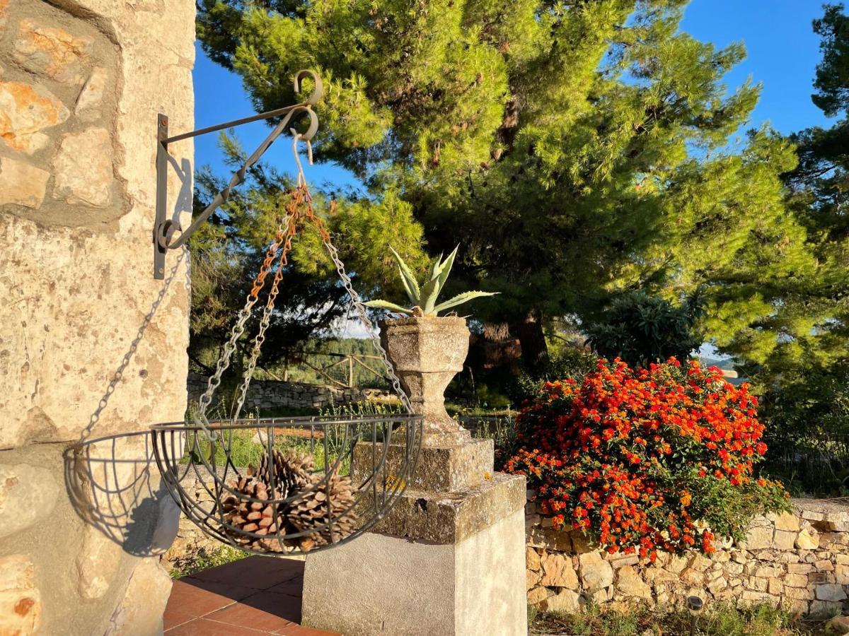 Novecento Country House فيستَ المظهر الخارجي الصورة