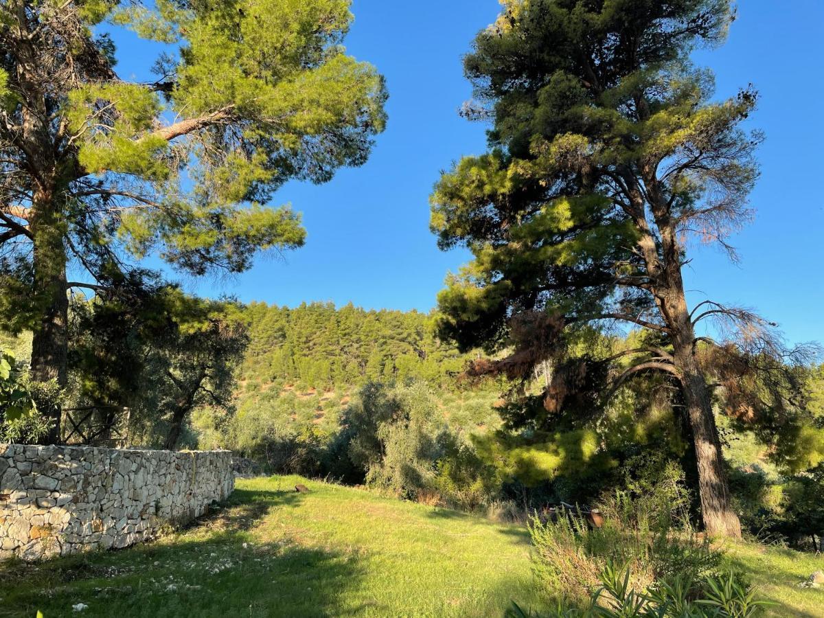 Novecento Country House فيستَ المظهر الخارجي الصورة