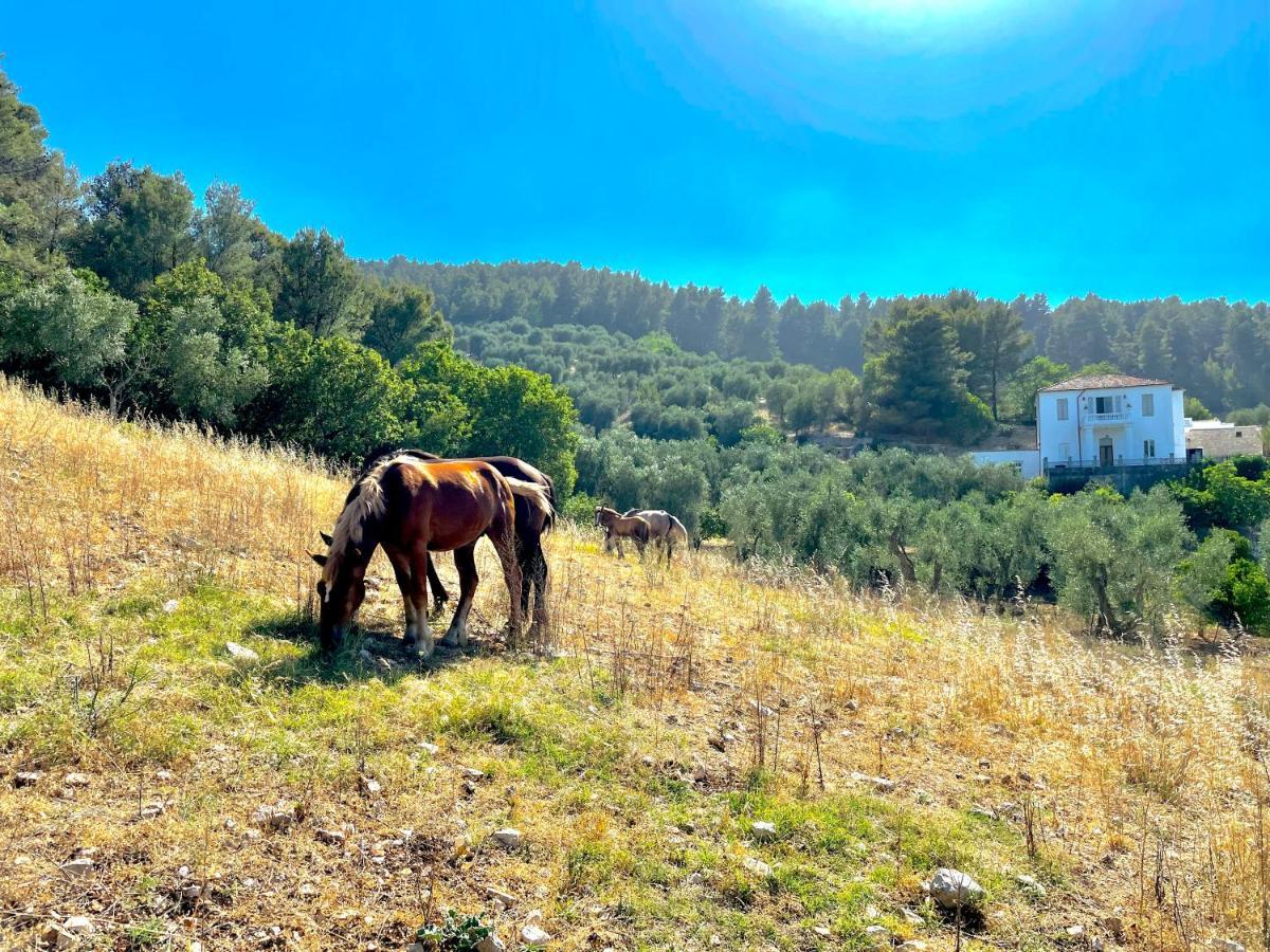 Novecento Country House فيستَ المظهر الخارجي الصورة