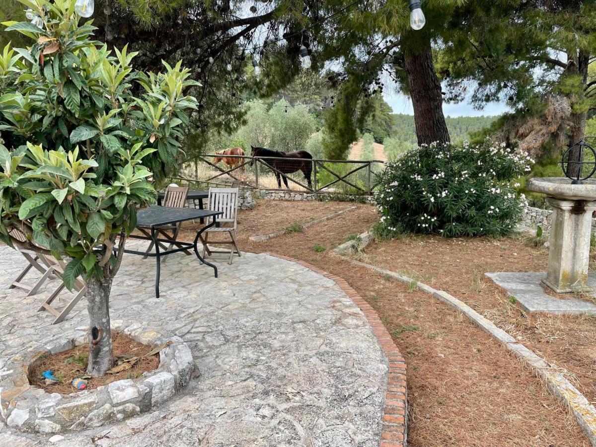 Novecento Country House فيستَ المظهر الخارجي الصورة