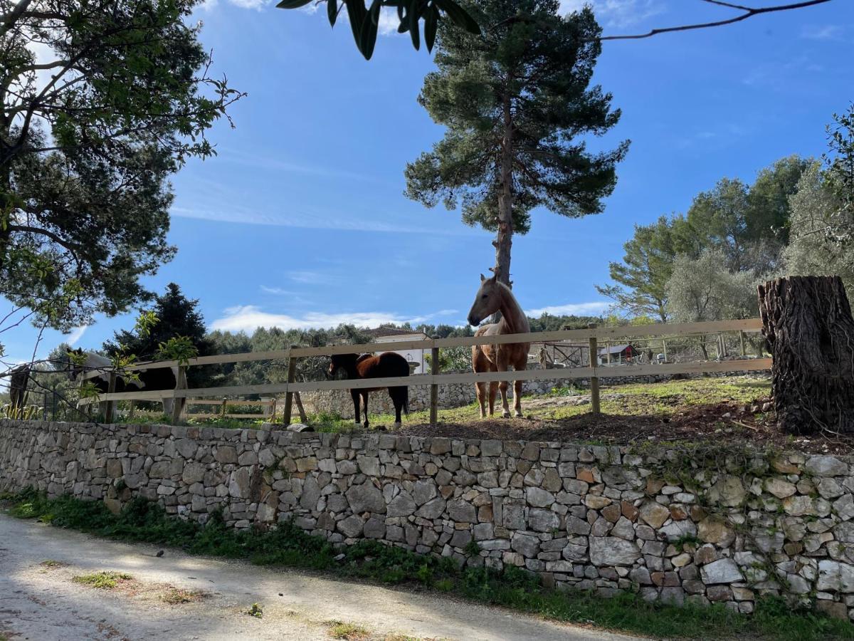 Novecento Country House فيستَ المظهر الخارجي الصورة