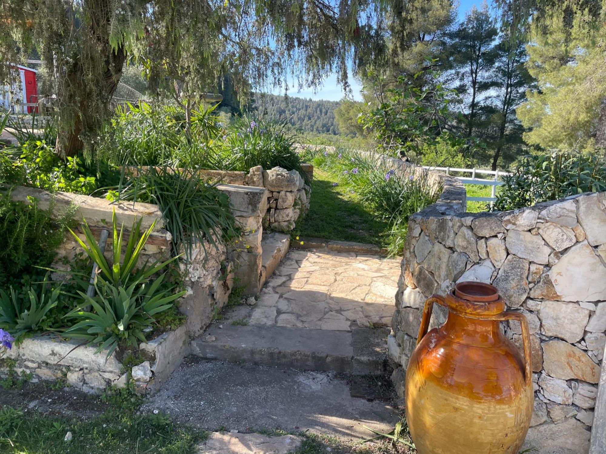 Novecento Country House فيستَ المظهر الخارجي الصورة