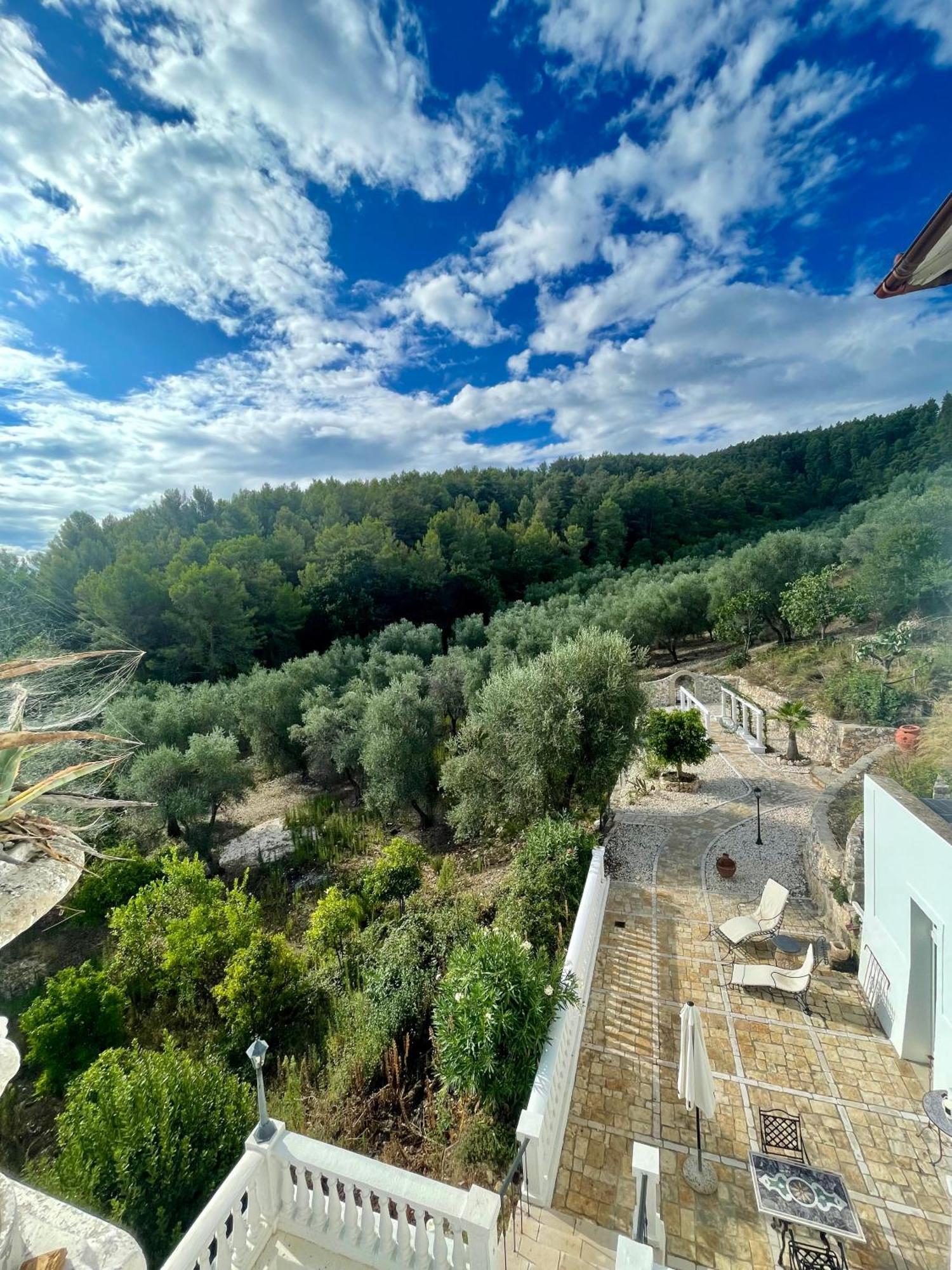 Novecento Country House فيستَ المظهر الخارجي الصورة